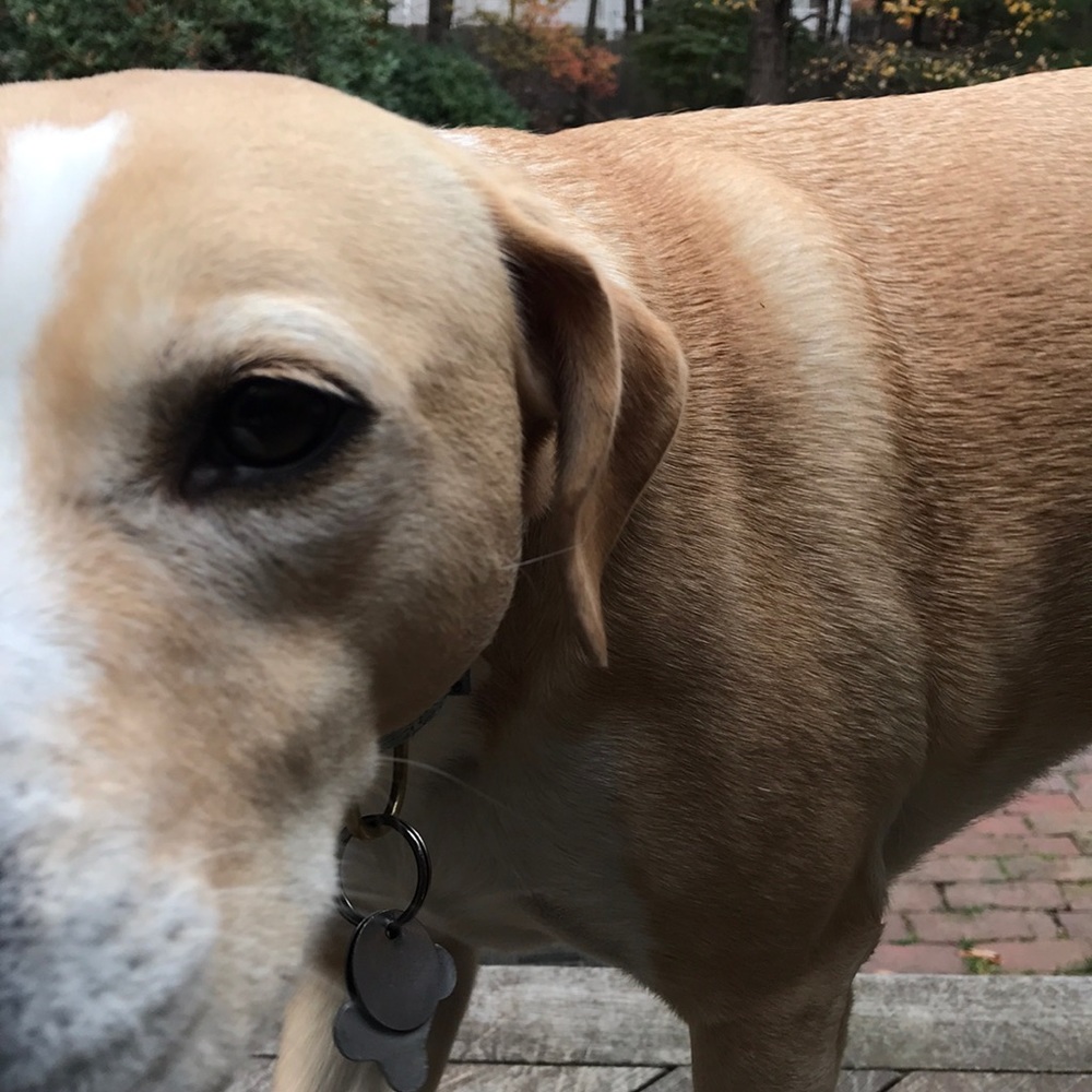 Meet your Posher, Candace